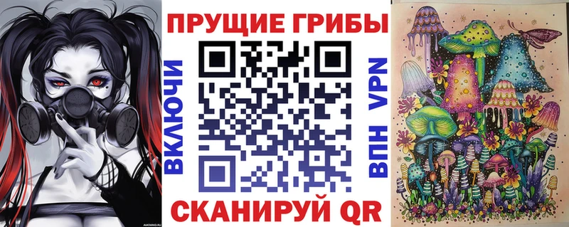 Галлюциногенные грибы Psilocybine cubensis  Кологрив 