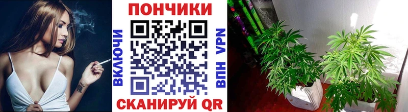 Канабис марихуана  Кологрив 